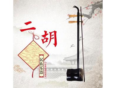 招聘庆阳二胡家教老师